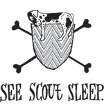 See Scout Sleep